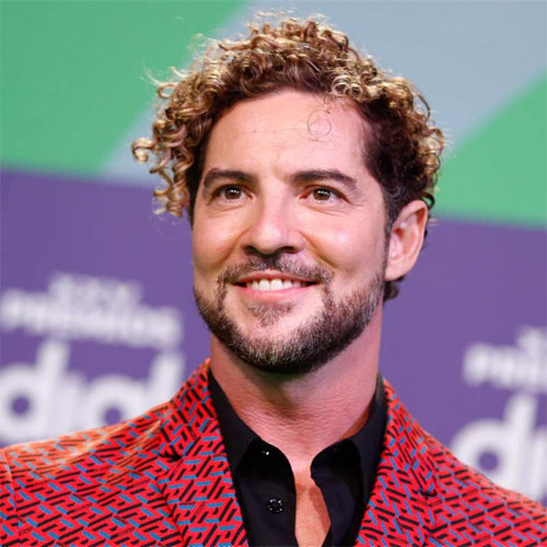 David Bisbal